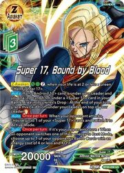 Super 17, Bound by Blood