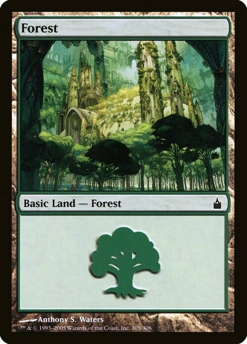 Forest Card Front