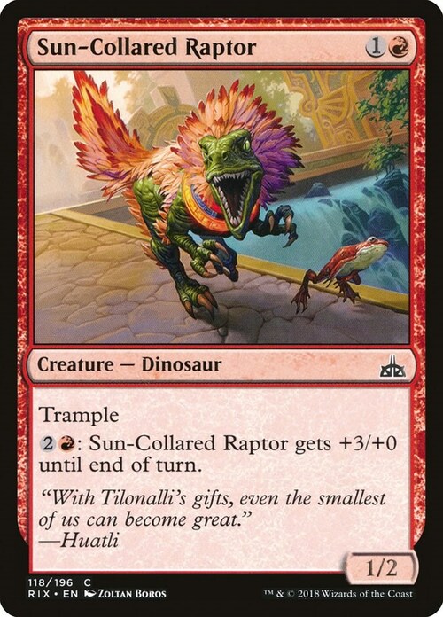 Sun-Collared Raptor Card Front