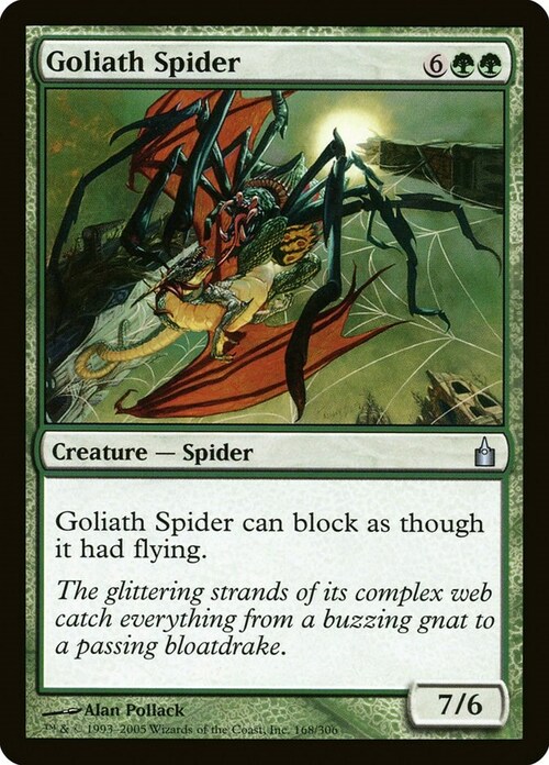 Araña Goliat Frente