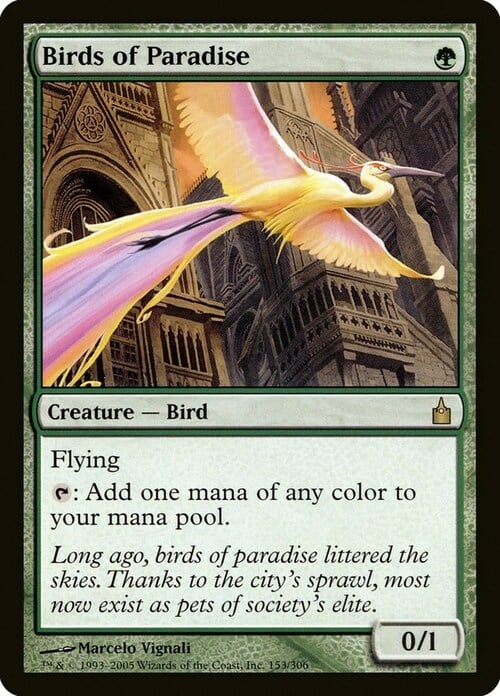 Birds of Paradise Card Front