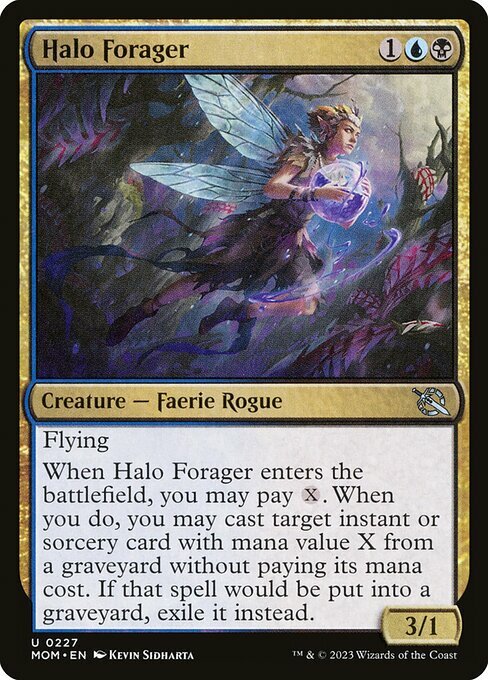 Halo Forager Card Front