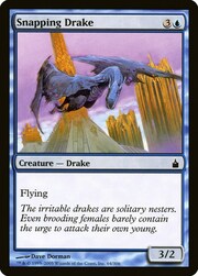 Snapping Drake 064
