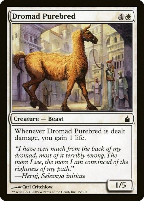 Dromad Purebred Card Front