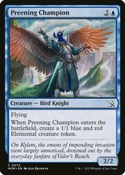 Preening Champion 073