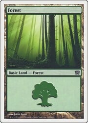 Forest · 348 348