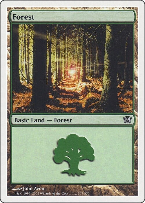 Forest Card Front