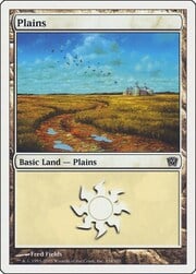 Plains · 334 334