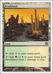Brushland 319