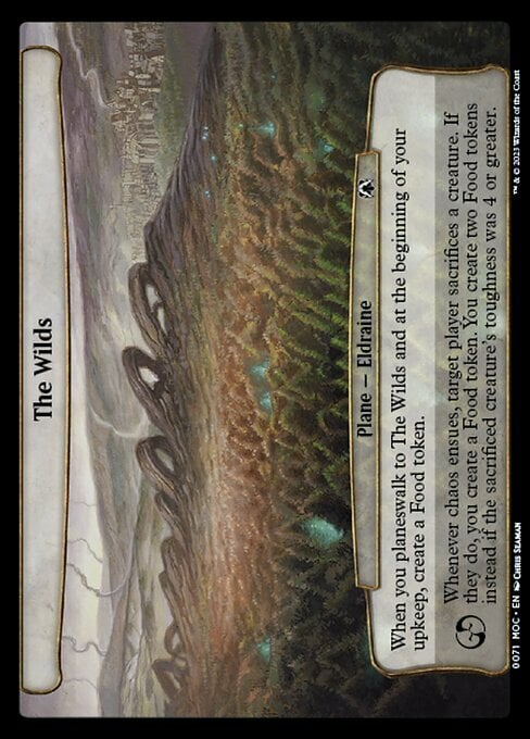 The Wilds Card Front
