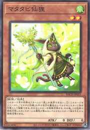 Silvervine Senri · Common 031