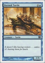 Horned Turtle 081
