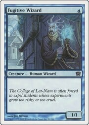 Fugitive Wizard 080
