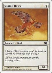 Suntail Hawk 049