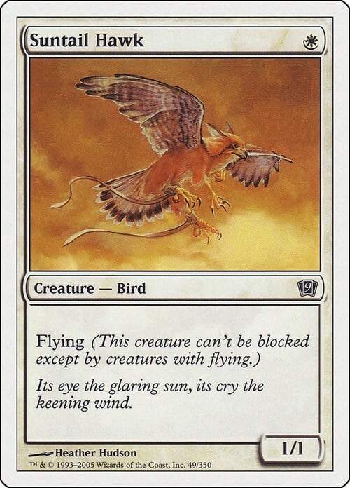 Suntail Hawk Card Front
