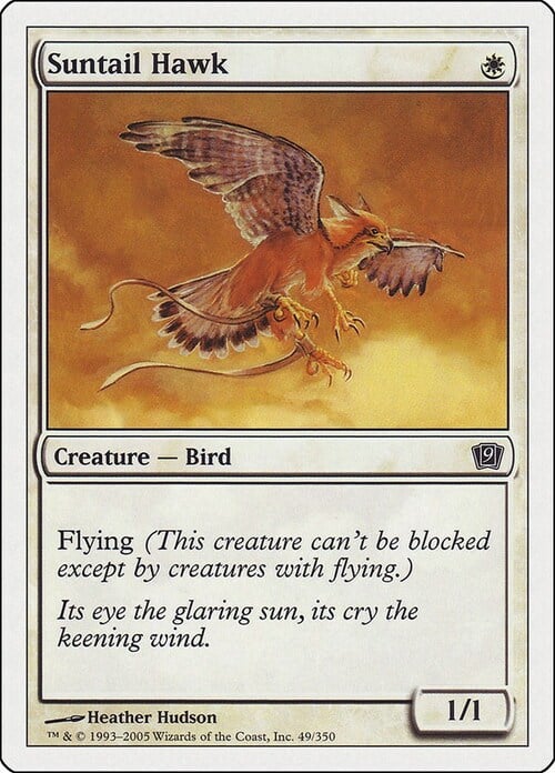 Suntail Hawk Card Front