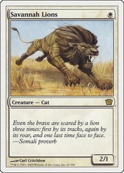 Savannah Lions 041