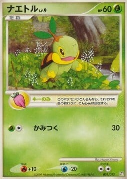 Turtwig Lv.9 Card Front
