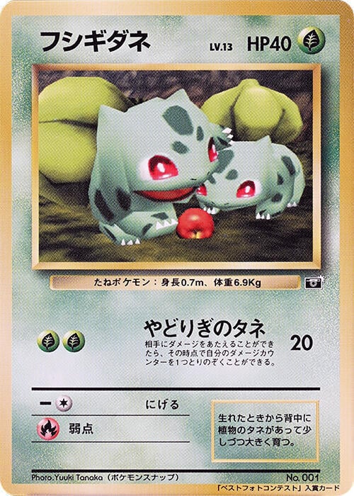 Bulbasaur Lv.13 Card Front