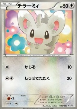 Minccino Card Front