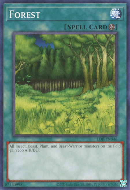 Forest Card Front