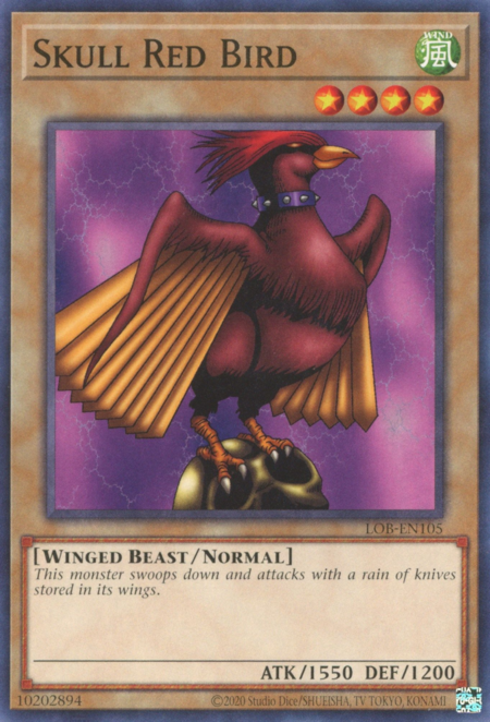 Skull Red Bird Card Front