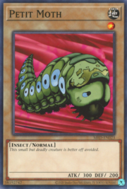 Petit Moth · ©2020 023