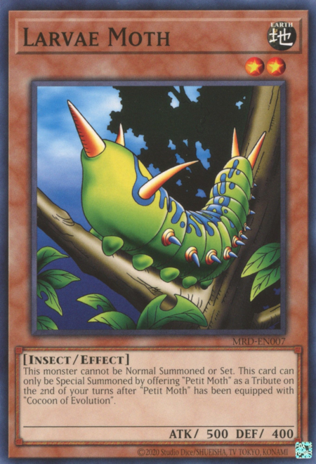 Larvae Moth Card Front