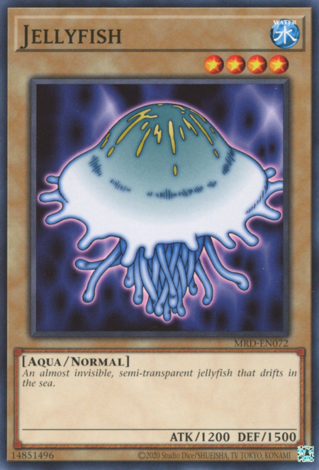 Jellyfish Card Front