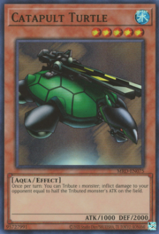 Catapult Turtle · ©2020 075