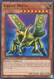 Great Moth · ©2020 070