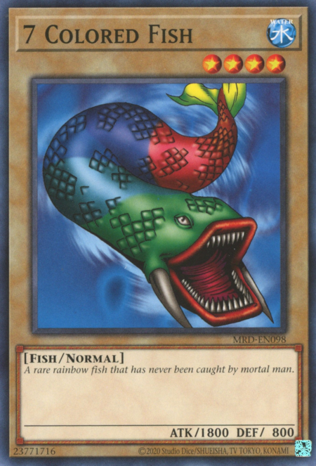 7 Colored Fish Card Front