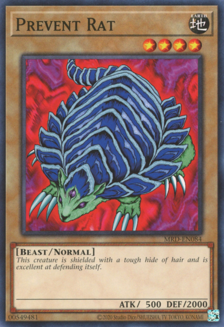 Corazzatopo Card Front