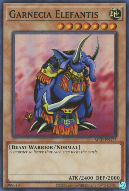 Garnecia Elefantis Card Front