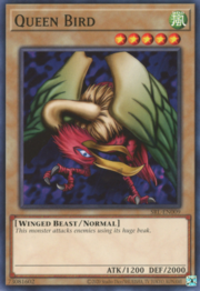 Queen Bird · ©2020 009