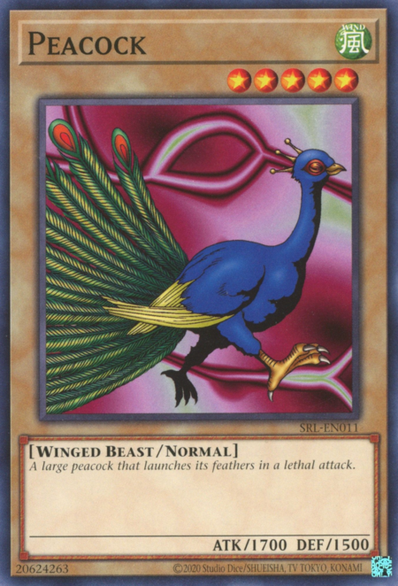 Peacock Card Front