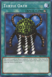 Turtle Oath · ©2020 066