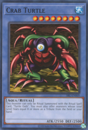 Crab Turtle · ©2020 069