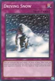 Driving Snow · ©2020 018