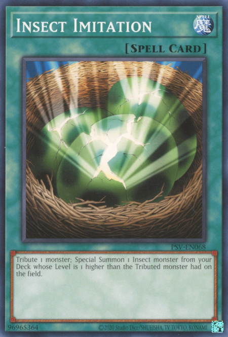 Insect Imitation Card Front