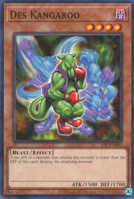 Des Kangaroo Card Front