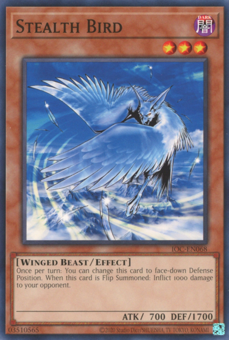 Stealth Bird Card Front