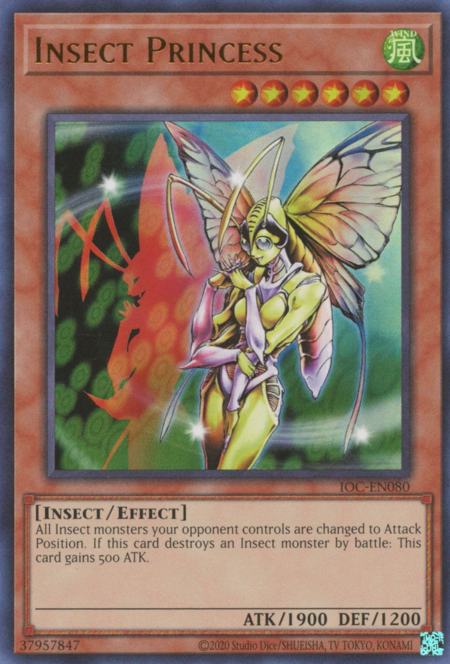 Insect Princess Card Front