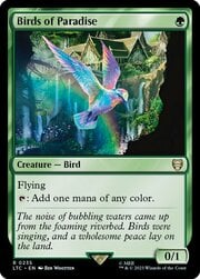 Uccelli del Paradiso