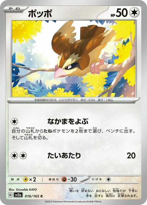 Pidgey Card Front