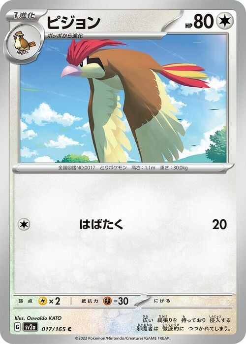 Pidgeotto Card Front