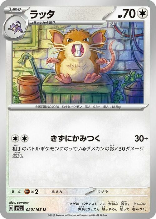 Raticate Card Front
