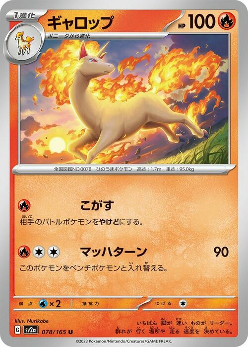 Rapidash Card Front