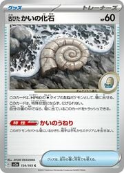 Old Helix Fossil