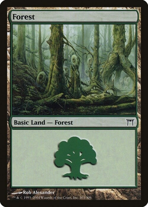 Forest Card Front